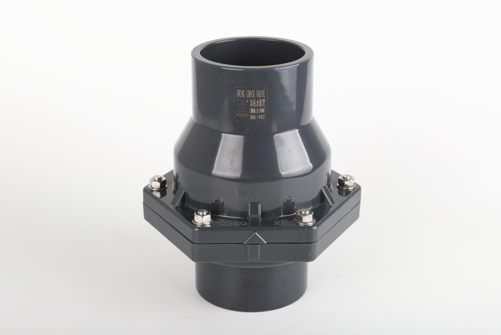 蒋湖农场翻板式止回阀