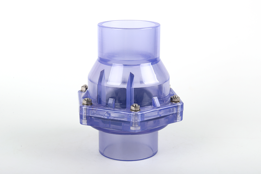 蒋湖农场透明翻板式止回阀